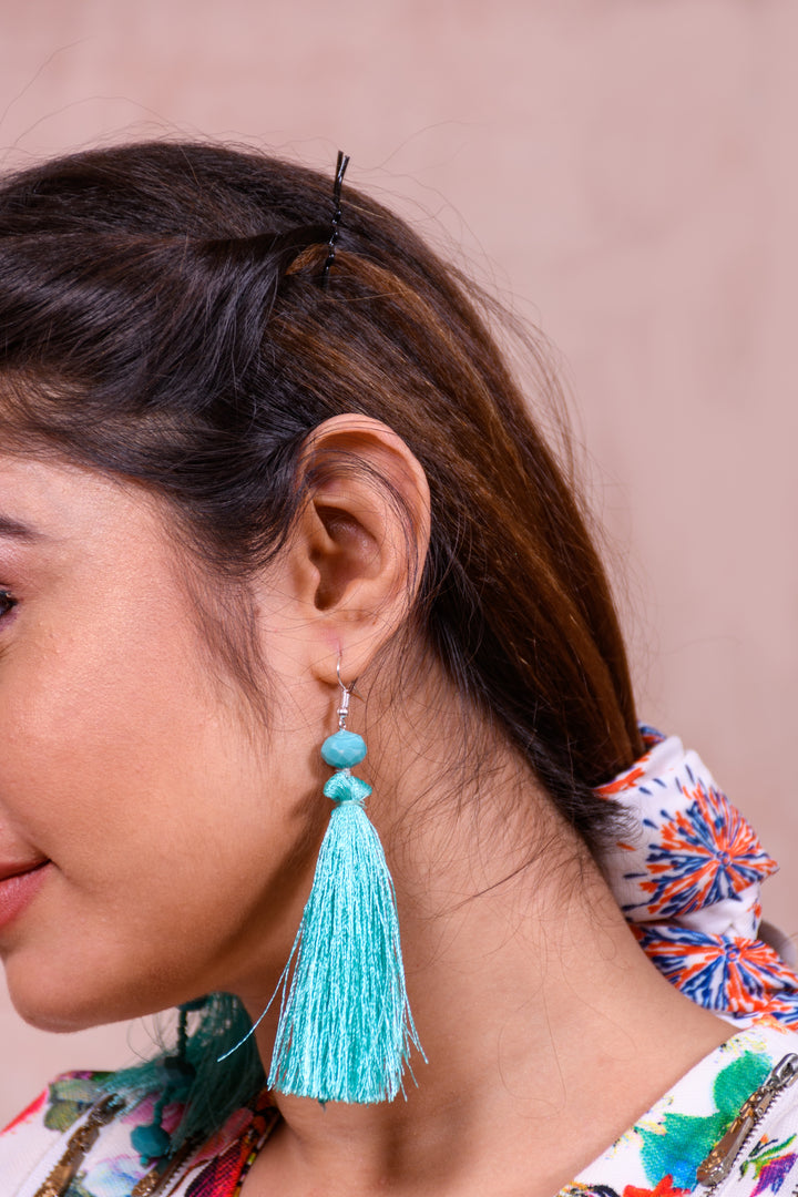 Tassel Earring With Multi Faceted Glass & Seed Beads Strung In Them