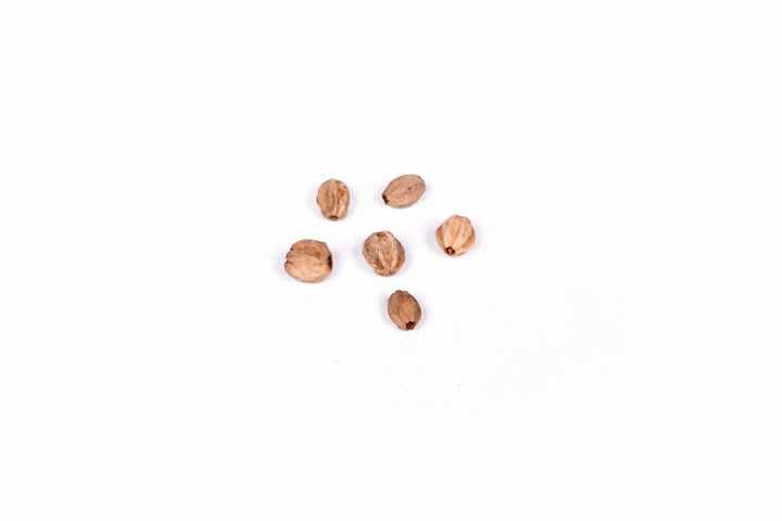 Wooden Beads